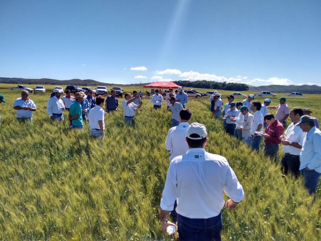  Dia de Campo - Ihara -23-06-2015