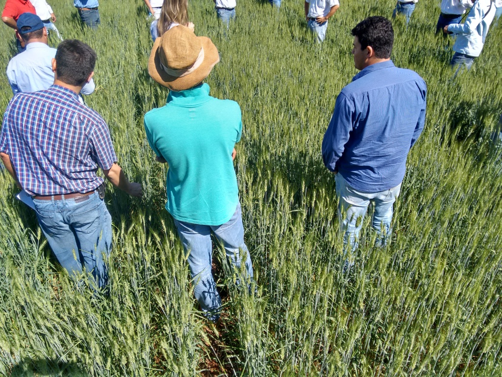  Dia de Campo - Ihara -23-06-2015