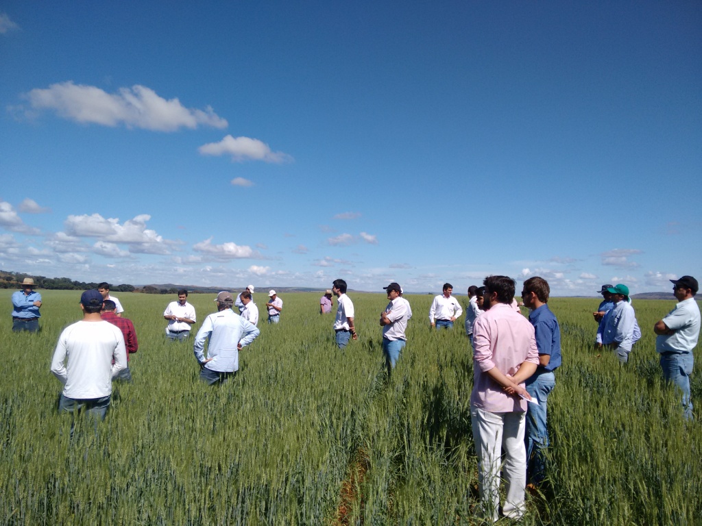  Dia de Campo - Ihara -23-06-2015