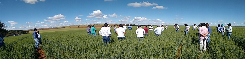  Dia de Campo - Ihara -23-06-2015