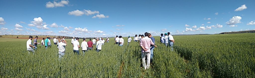  Dia de Campo - Ihara -23-06-2015