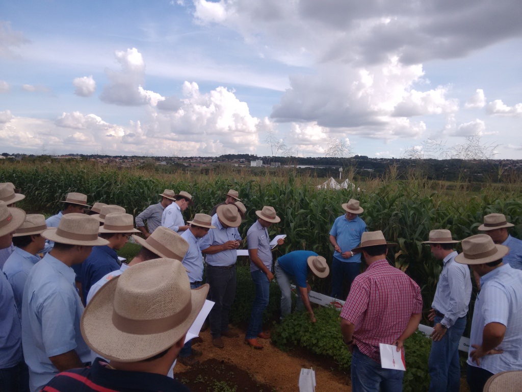 TREINAMENTO Dow AgroSciences - 28-04-15 