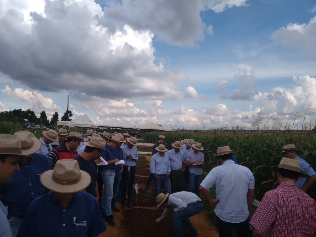  TREINAMENTO Dow AgroSciences - 28-04-15 