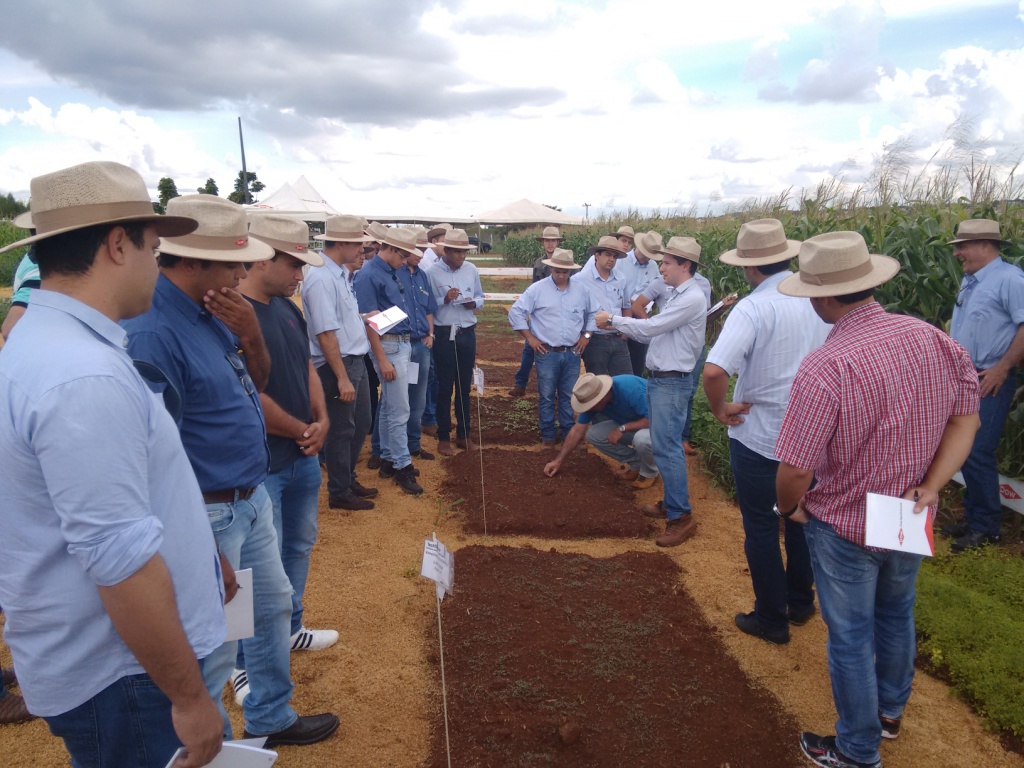  TREINAMENTO Dow AgroSciences - 28-04-15 