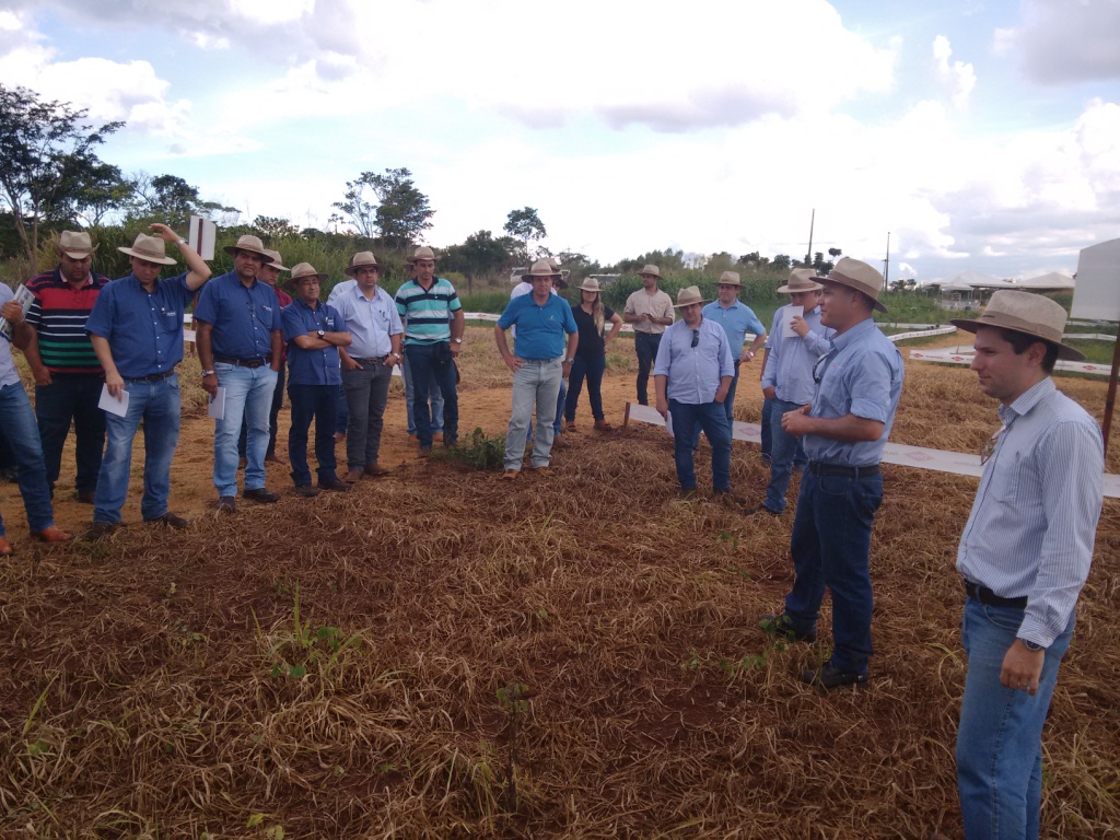  TREINAMENTO Dow AgroSciences - 28-04-15 