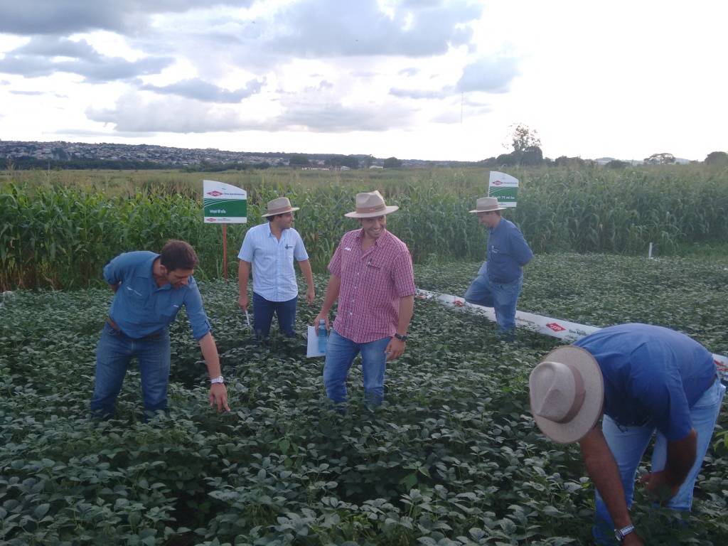  TREINAMENTO Dow AgroSciences - 28-04-15 