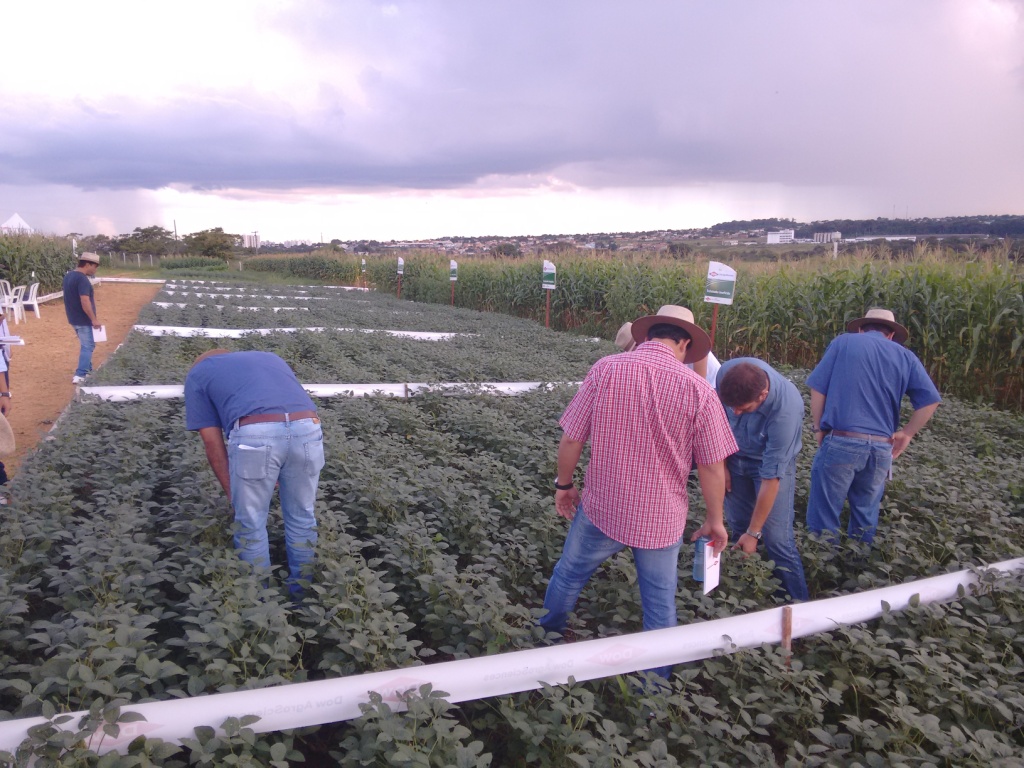  TREINAMENTO Dow AgroSciences - 28-04-15 