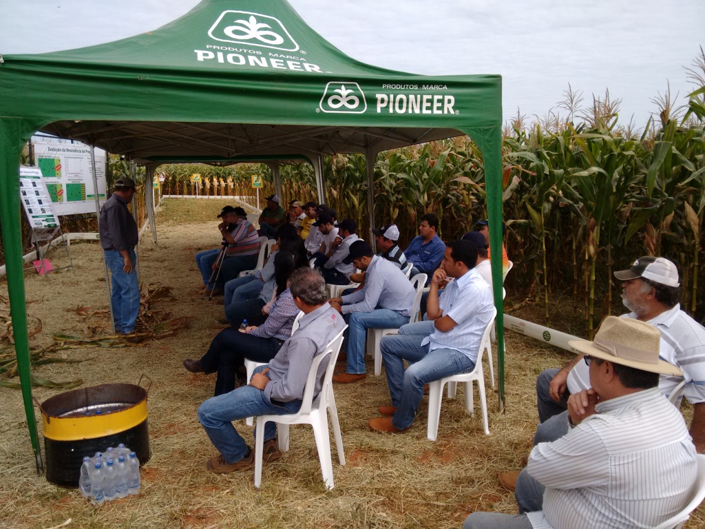  Dia de Campo - Santa Brígida - 17-06-2015