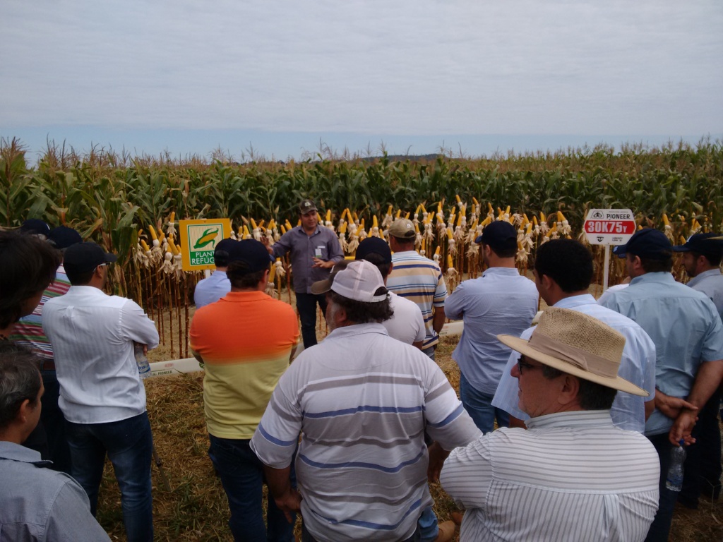  Dia de Campo - Santa Brígida - 17-06-2015