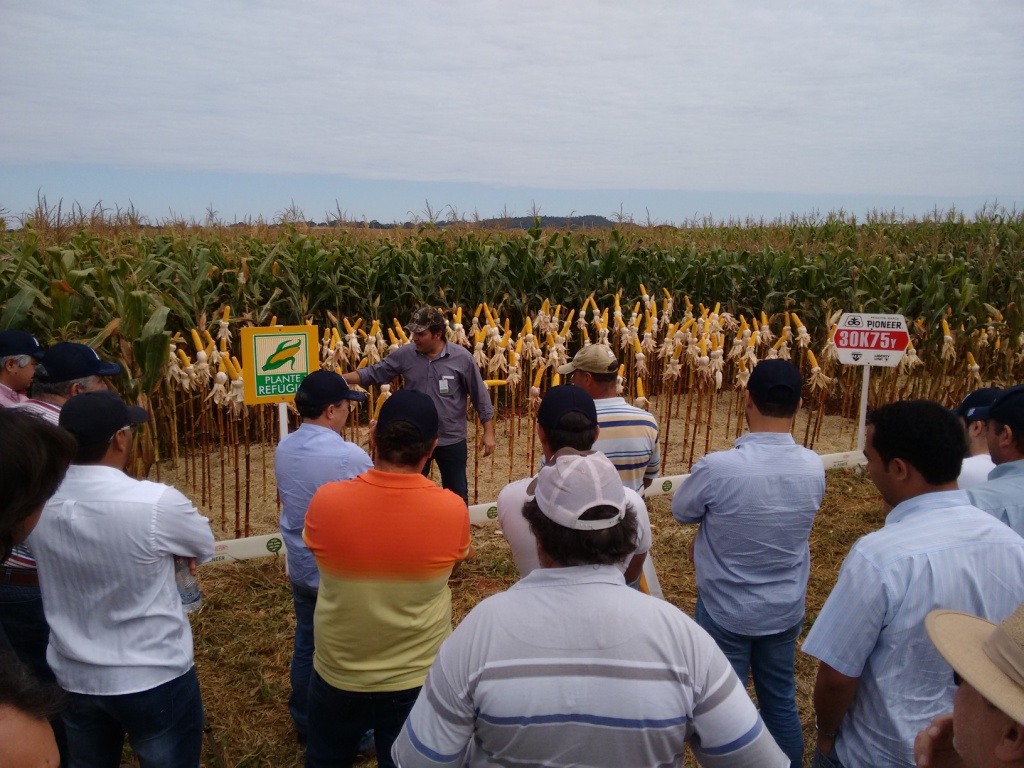  Dia de Campo - Santa Brígida - 17-06-2015