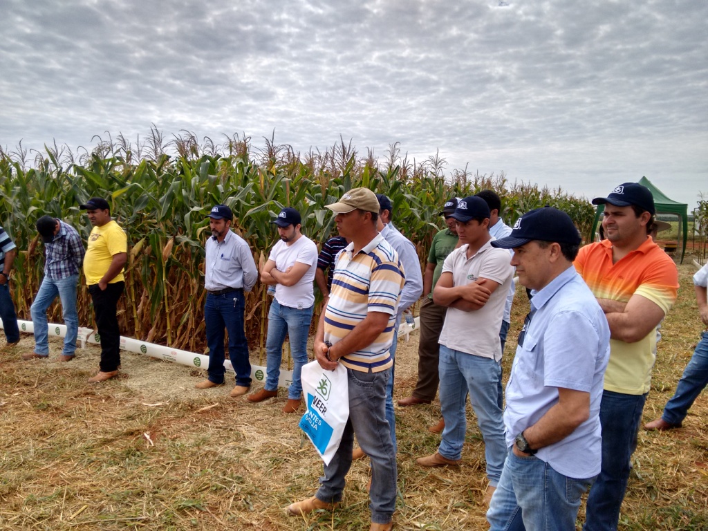  Dia de Campo - Santa Brígida - 17-06-2015