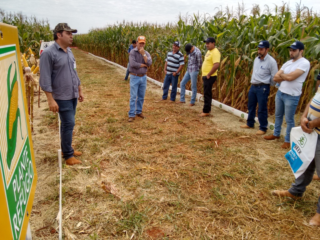  Dia de Campo - Santa Brígida - 17-06-2015