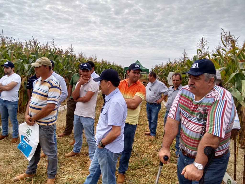  Dia de Campo - Santa Brígida - 17-06-2015