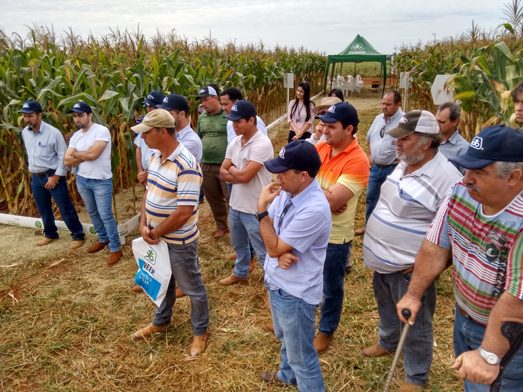  Dia de Campo - Santa Brígida - 17-06-2015