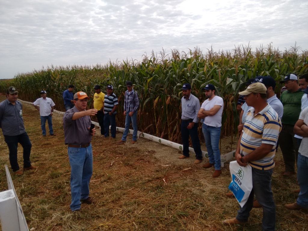  Dia de Campo - Santa Brígida - 17-06-2015