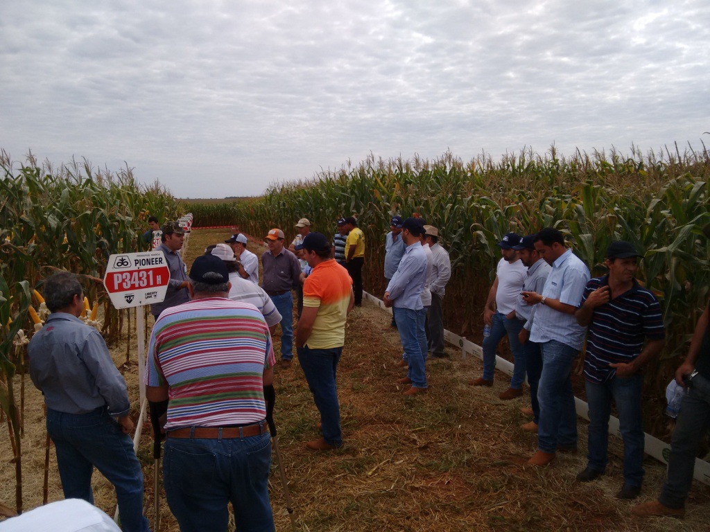  Dia de Campo - Santa Brígida - 17-06-2015