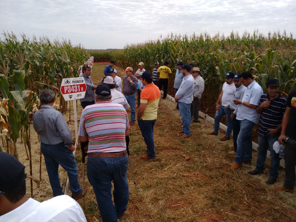  Dia de Campo - Santa Brígida - 17-06-2015