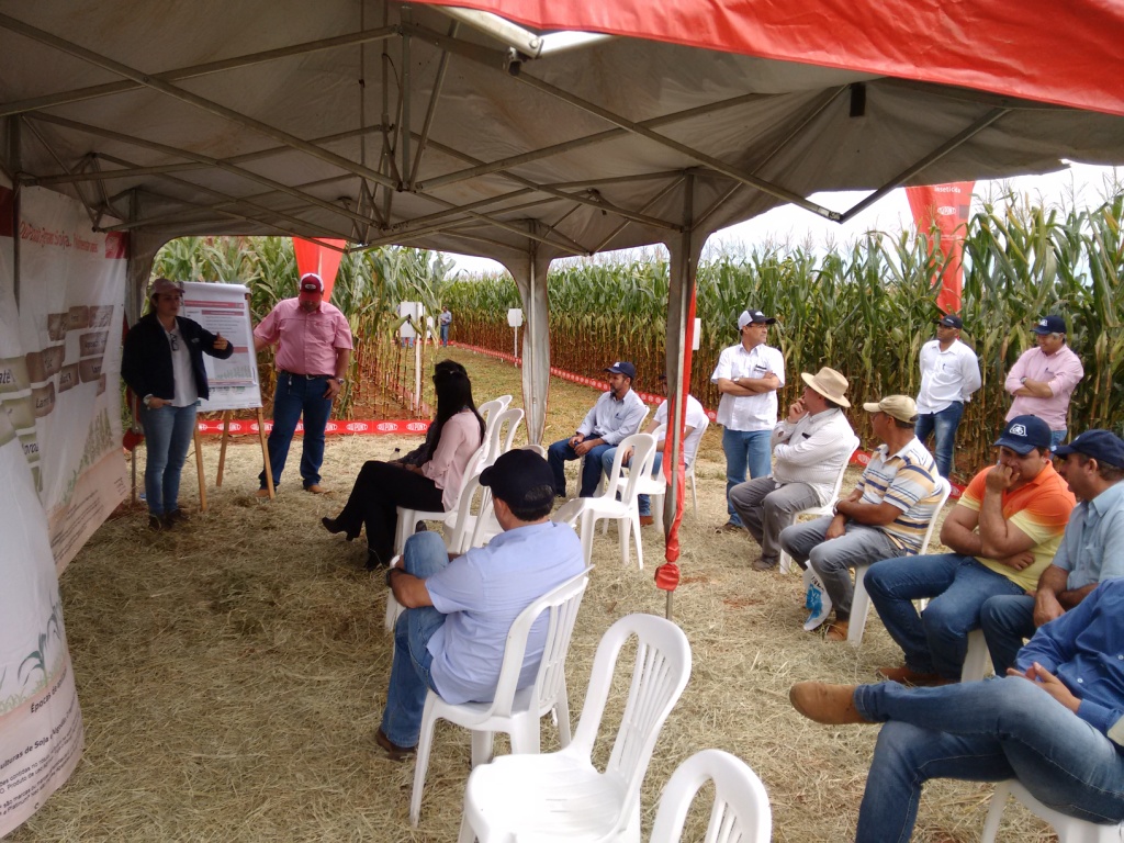  Dia de Campo - Santa Brígida - 17-06-2015