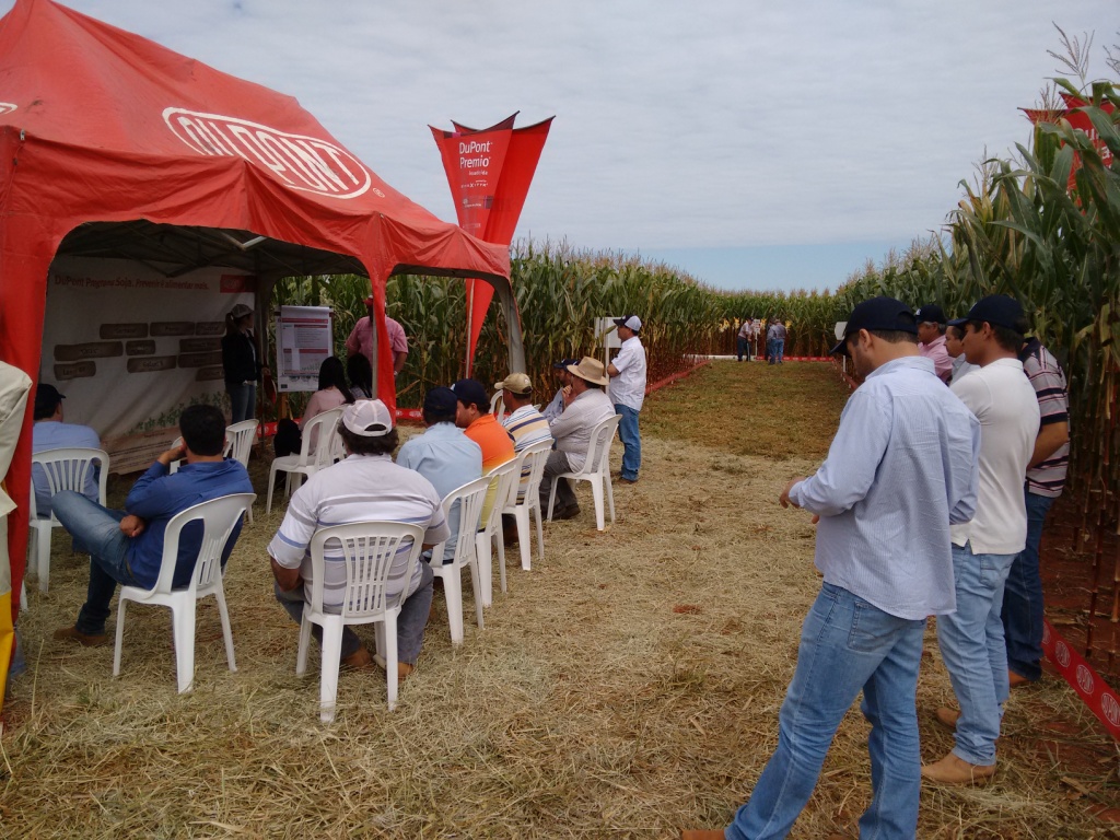  Dia de Campo - Santa Brígida - 17-06-2015
