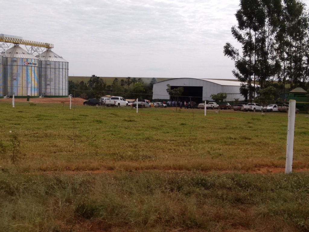  Dia de Campo - Santa Brígida - 17-06-2015