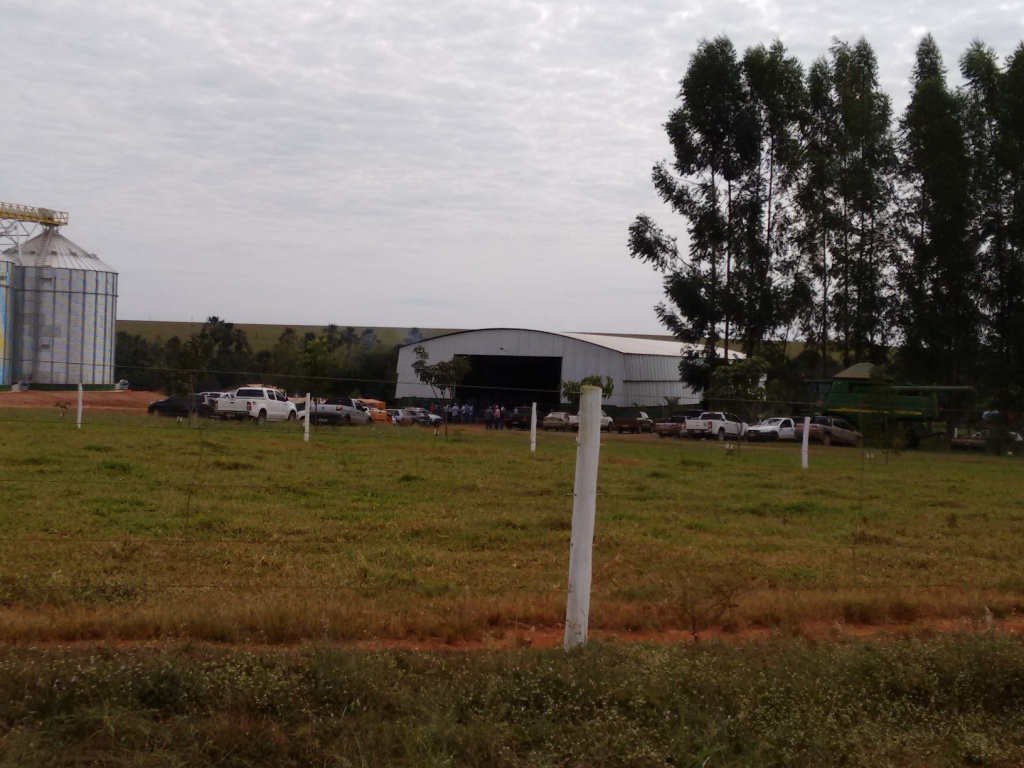  Dia de Campo - Santa Brígida - 17-06-2015