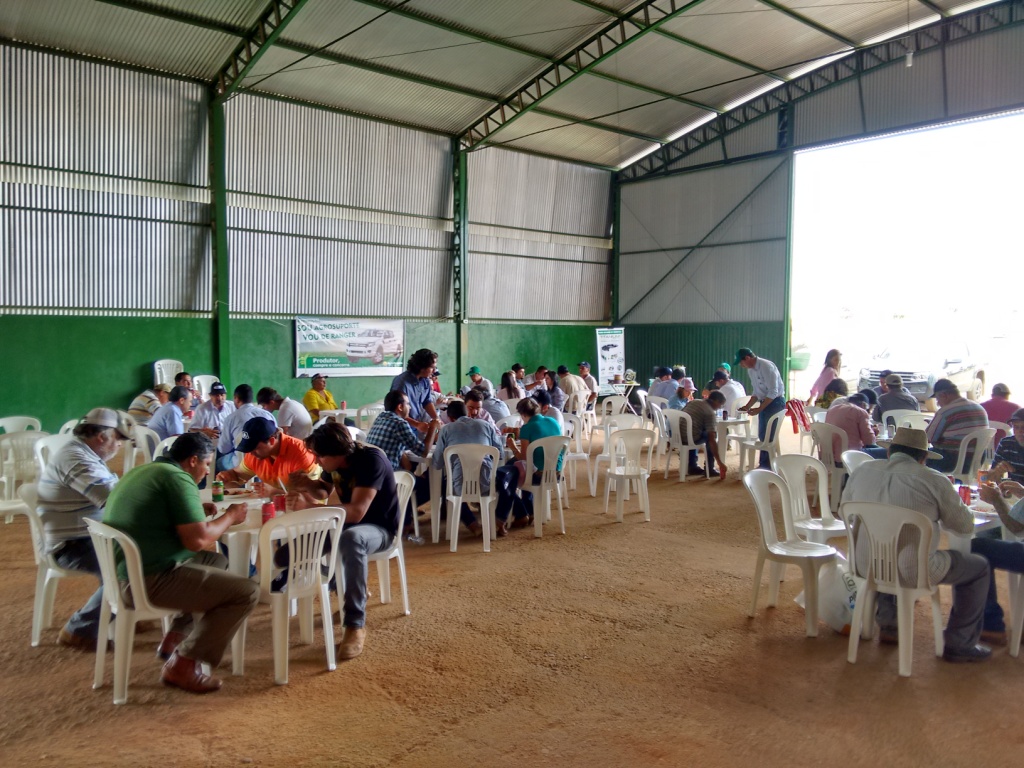  Dia de Campo - Santa Brígida - 17-06-2015