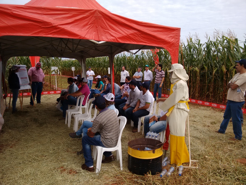  Dia de Campo - Santa Brígida - 17-06-2015