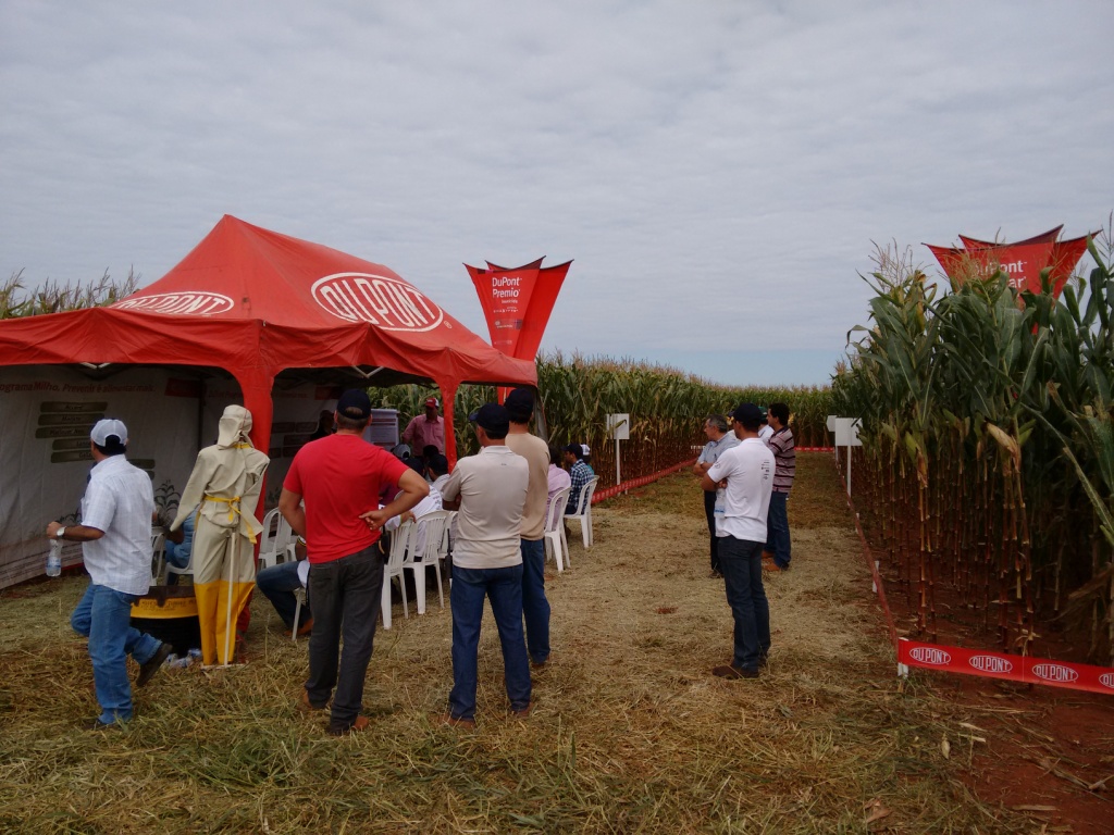  Dia de Campo - Santa Brígida - 17-06-2015