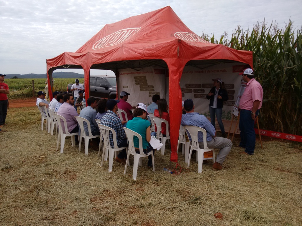  Dia de Campo - Santa Brígida - 17-06-2015