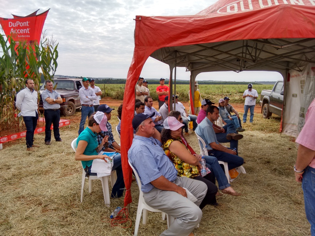 Dia de Campo - Santa Brígida - 17-06-2015