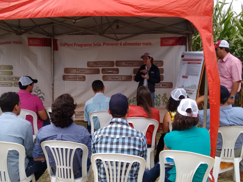  Dia de Campo - Santa Brígida - 17-06-2015