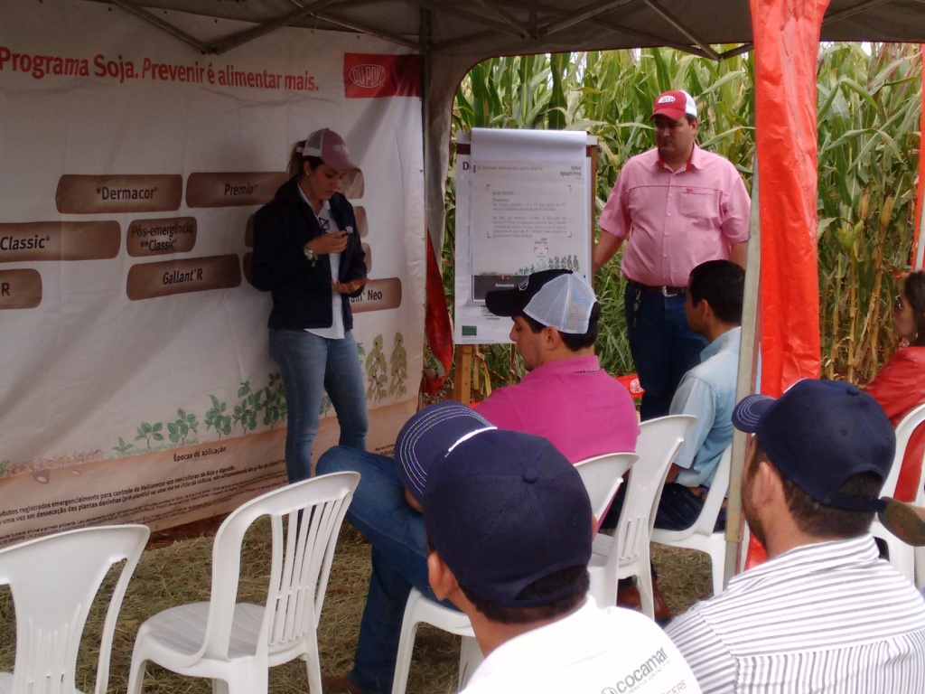  Dia de Campo - Santa Brígida - 17-06-2015