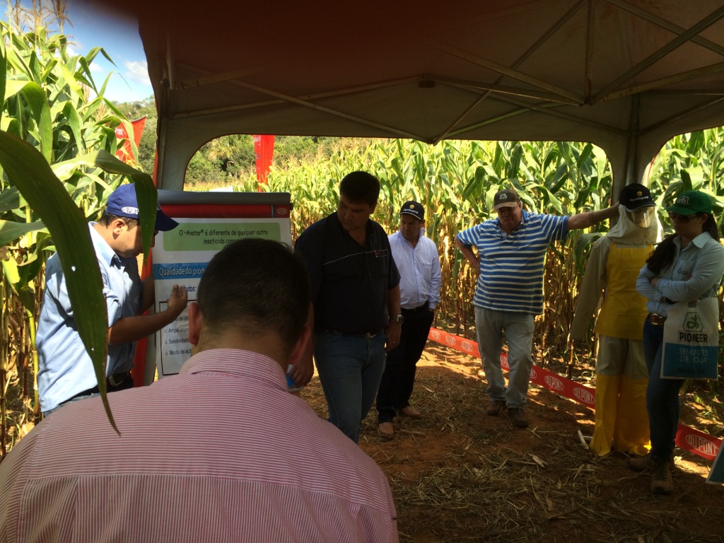  DIA DE CAMPO REGINALDO VERONEZ