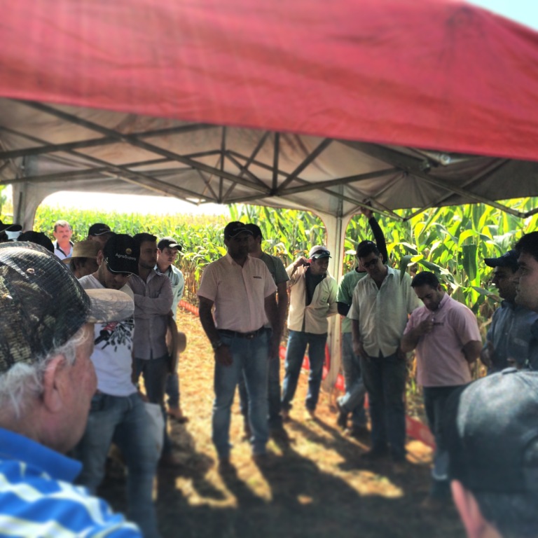  DIA DE CAMPO REGINALDO VERONEZ