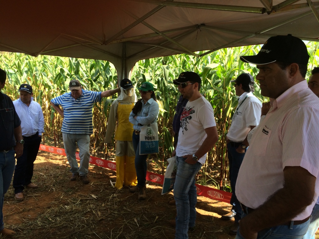  DIA DE CAMPO REGINALDO VERONEZ