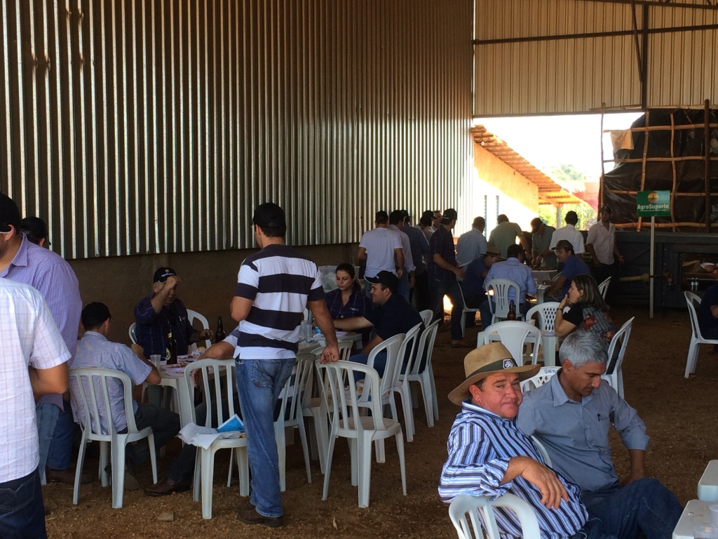  DIA DE CAMPO REGINALDO VERONEZ