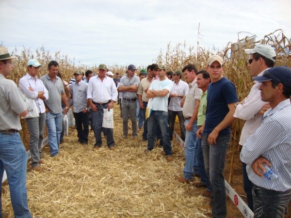   Dia de Campo: Híbridos Pioneer para Safrinha