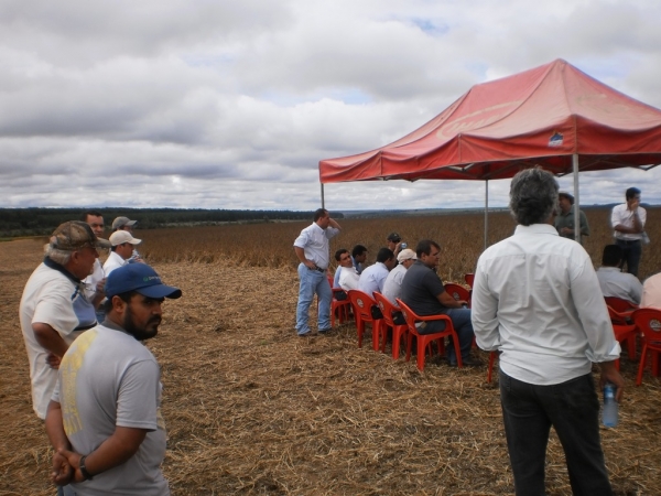  Dia de Campo - Faz. Bom Jesus - Agropecuária JR