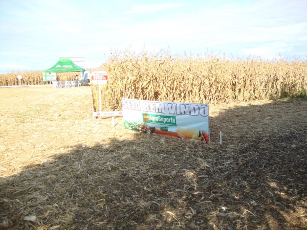   Dia de Campo: Híbridos Pioneer para Safrinha