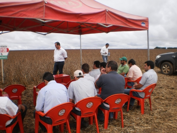  Dia de Campo - Faz. Bom Jesus - Agropecuária JR