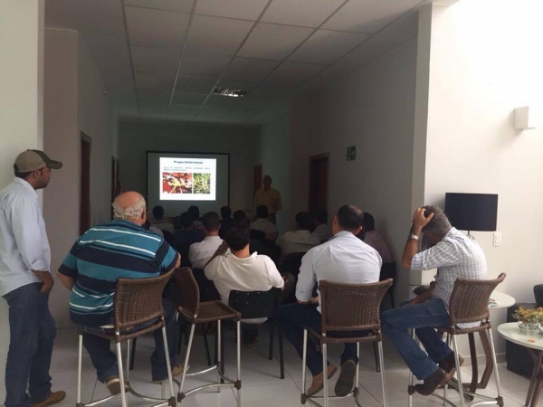  Curso Manejo Integrado de Pragas no Milho