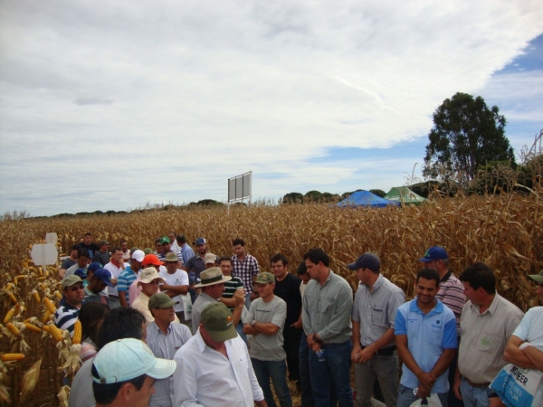   Dia de Campo: Híbridos Pioneer para Safrinha