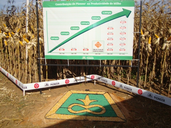   Dia de Campo: Híbridos Pioneer para Safrinha