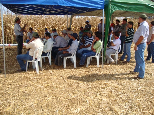   Dia de Campo: Híbridos Pioneer para Safrinha
