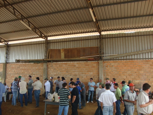   Dia de Campo: Híbridos Pioneer para Safrinha