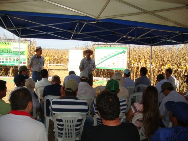   Dia de Campo: Híbridos Pioneer para Safrinha