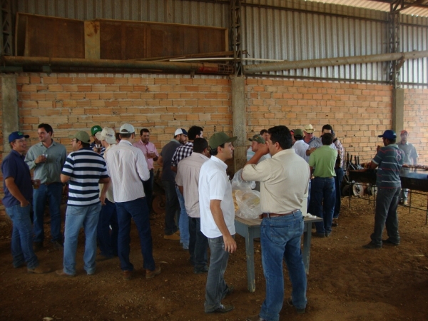  Dia de Campo: Híbridos Pioneer para Safrinha
