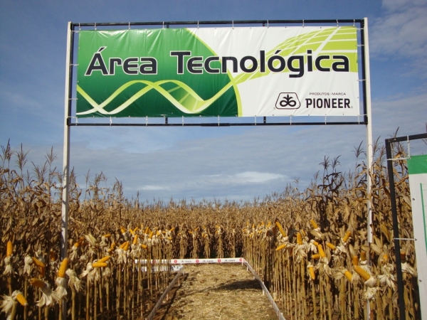   Dia de Campo: Híbridos Pioneer para Safrinha