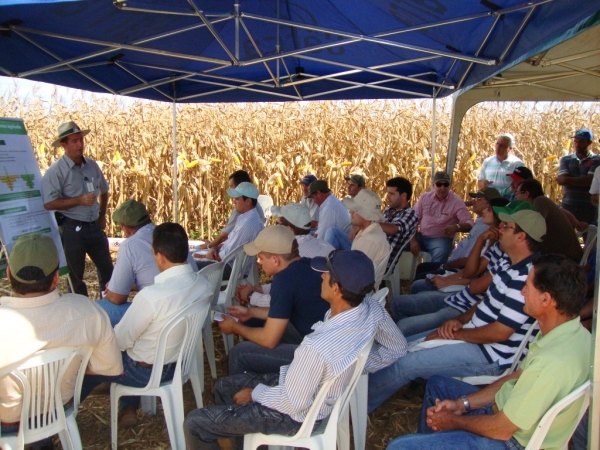   Dia de Campo: Híbridos Pioneer para Safrinha