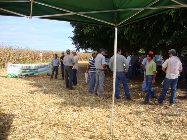   Dia de Campo: Híbridos Pioneer para Safrinha